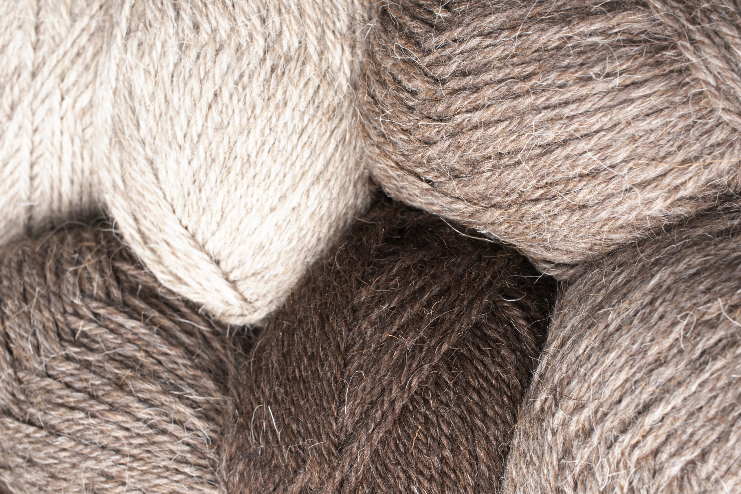 Guida alla Lana di Lama: tutto quello che devi sapere